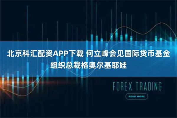 北京科汇配资APP下载 何立峰会见国际货币基金组织总裁格奥尔基耶娃