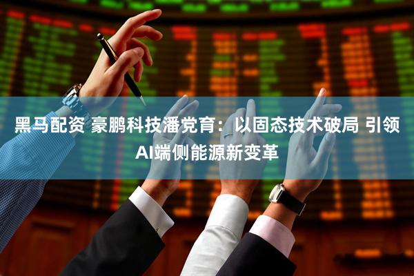 黑马配资 豪鹏科技潘党育：以固态技术破局 引领AI端侧能源新变革