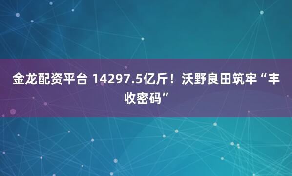 金龙配资平台 14297.5亿斤！沃野良田筑牢“丰收密码”