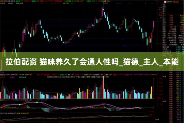 拉伯配资 猫咪养久了会通人性吗_猫德_主人_本能
